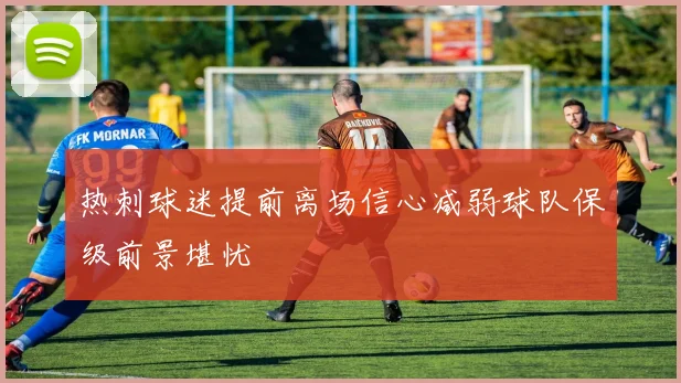 热刺球迷提前离场信心减弱球队保级前景堪忧