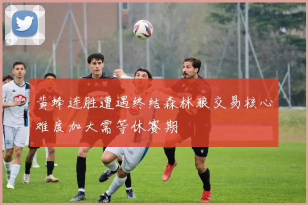 黄蜂连胜遭遇终结森林狼交易核心难度加大需等休赛期